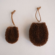 棕櫚スタンダード